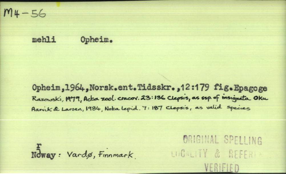 front of card